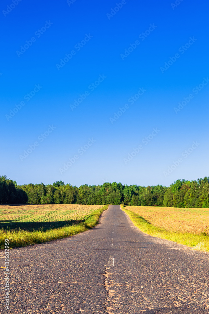Straight old asphalt road running through the field and abutting in the distance into a deciduous forest Straight old asphalt road running through the field and abutting in the distance into a deciduous forest