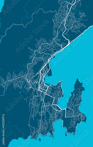 Detailed map of Wellington city, linear print map. Cityscape panorama.