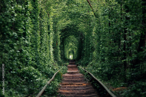 Fototapeta Naklejka Na Ścianę i Meble -  a railway in the spring forest tunnel of love