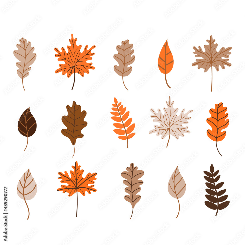 Autumn fallen leaves set. Maple, oak, and birch leaves isolated on a white background. Vector illustration in a flat style. Elements for autumn design