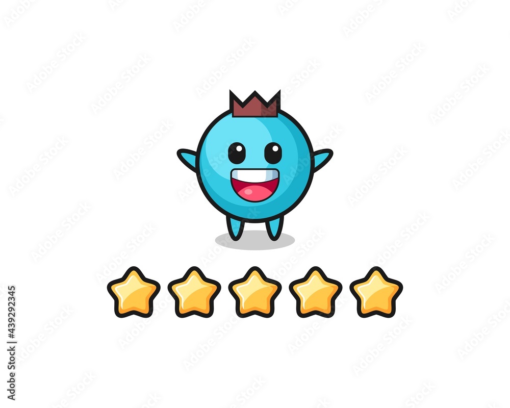 the illustration of customer best rating, blueberry cute character with 5 stars