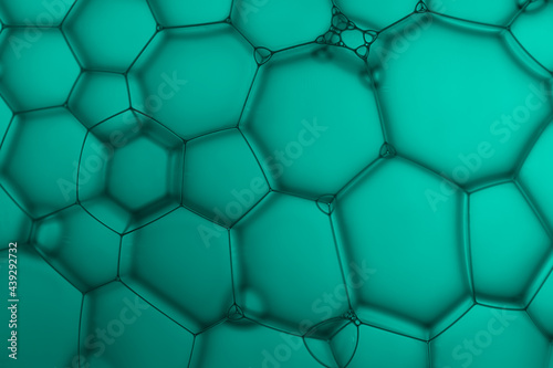 Close up of soap bubbles, creater pattern and art of image on blue-green background. photo