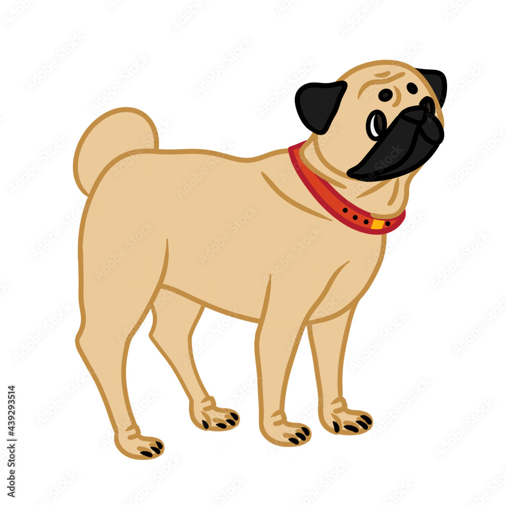 Vector illustration of pug isolated on white background. Design element for printing on T-shirts in notebooks for use in posters banners advertising Vector illustration of pug isolated on white background. Design element for printing on T-shirts in notebooks for use in posters banners advertising