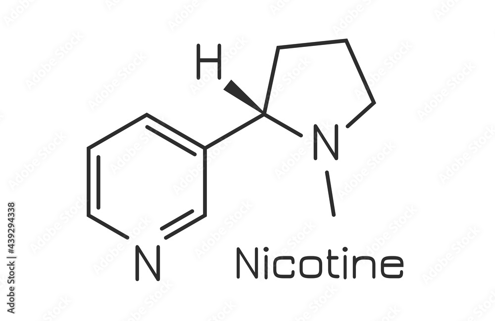 Nicotine molecule, vector chemical formula Nicotine molecule, vector chemical formula