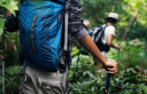 Fotografia Hikers trekking in a forest together