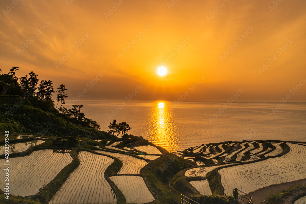 石川県 白米千枚田に沈む夕日 Stock Photo | Adobe Stock