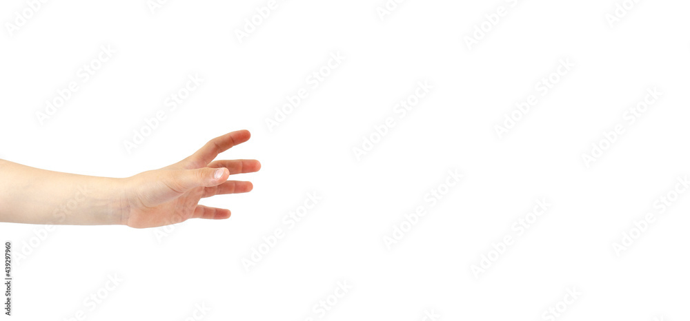 Outstretched hand to take on a white background. Isolated