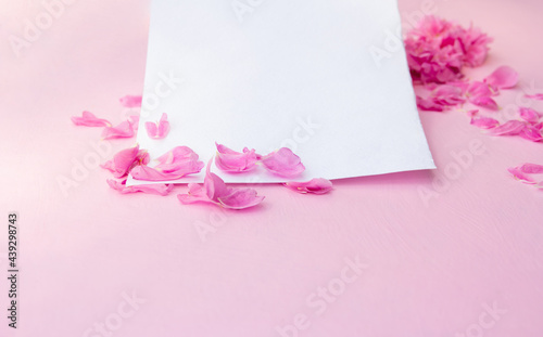 Blank paper card mockup on pink pastel background and delicate pink rose flowers. Top view  © Yuliya