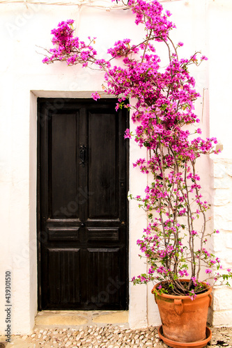 Whitewashed facade with old wooden door and bougainvillea in Altea © SoniaBonet