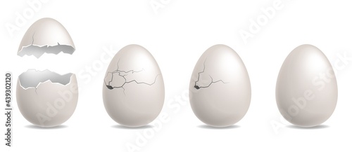 Cracked egg. Realistic chicken while eggshells. Hatching sequence steps row. Birth of bird. 3D broken animal shells set. Cooking ingredient with fractures. Vector poultry food products