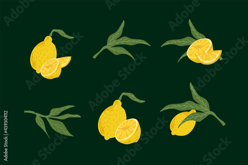 A set of citrus fruits with leaves. Illustrations of lemon, lime, slices and half of fruit. Cute citrus fruits for summer menu design. Vector illustration