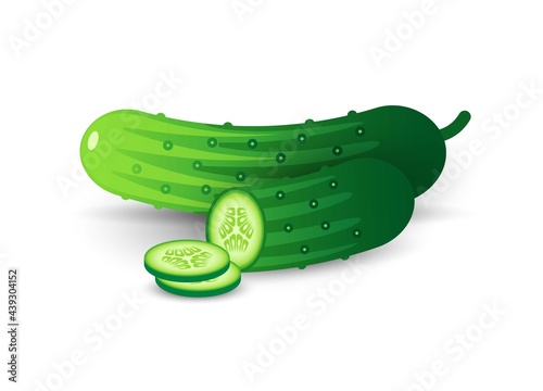 Whole and sliced cucumber vector illustration.