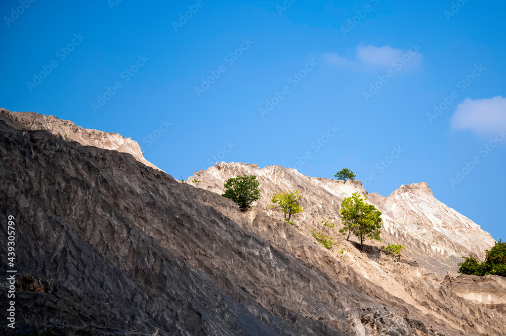 Green tree in rock mountain and blue sky background