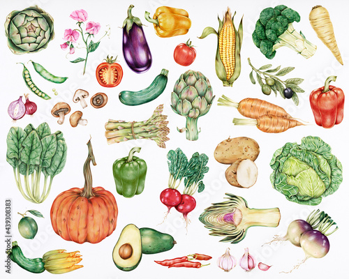 Hand drawn vegetables collection photo