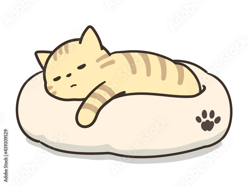 ペットベッドで寝ている猫　トラ猫