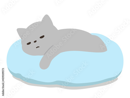 ペットベッドで寝ている猫　ロシアンブルー