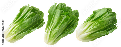 Konstfotografi Romano salad set isolated on white background