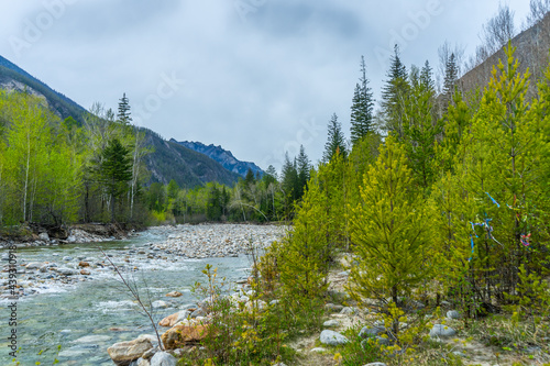 mountain river in the mountains photo