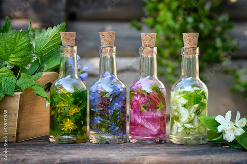 Bottles of essential oil or infusion of medicinal herbs, healing plants on wooden table. Alternative medicine.