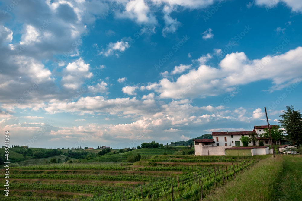 Spring stormy sunset in the vineyards of Collio Friulano, Friuli-Venezia Giulia, Italy Spring stormy sunset in the vineyards of Collio Friulano, Friuli-Venezia Giulia, Italy