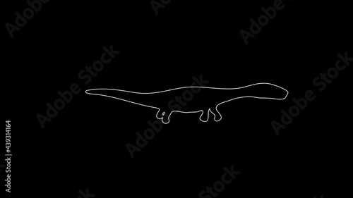 white linear silhouette of a dinosaur in the water. the picture appears and disappears on a black background.