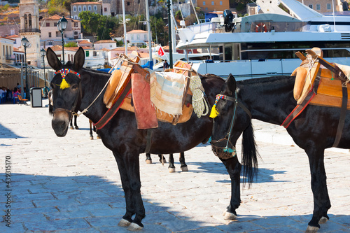 Donkeys waiting to transport tourists in Greek Island Hydra Saronikos Gulf Greece