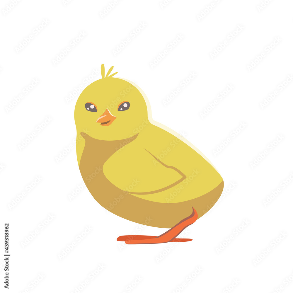 Fototapeta premium Cute chick isolated on white transparent background.
