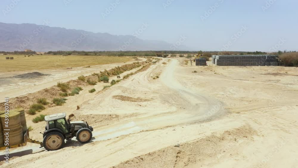 Piles of hay are getting collected by agricultural machines in haystack. Bale of wheats collect and loaded to transport to industry factory in the food culture. An agriculture aerial drone footage Piles of hay are getting collected by agricultural machines in haystack. Bale of wheats collect and loaded to transport to industry factory in the food culture. An agriculture aerial drone footage