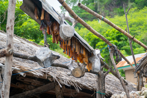 Dried sliced meat from Orca Killer whale at Lamalera, Nusa Tenggara, Indonesia photo