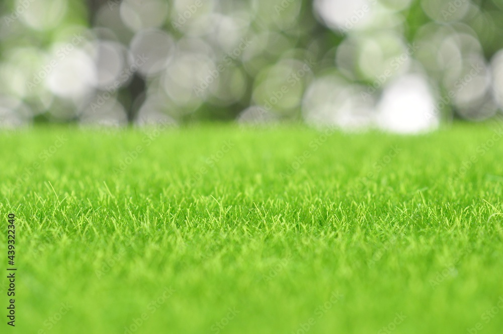 Green artificial grass on natural daylight bokeh blur background

