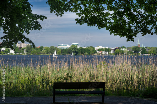 Schattige Sitzbank Alster Ufer Hamburg im Sommer photo