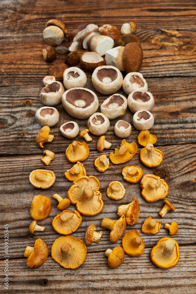 Variety of edible forest mushrooms on wooden board Variety of edible forest mushrooms on wooden board