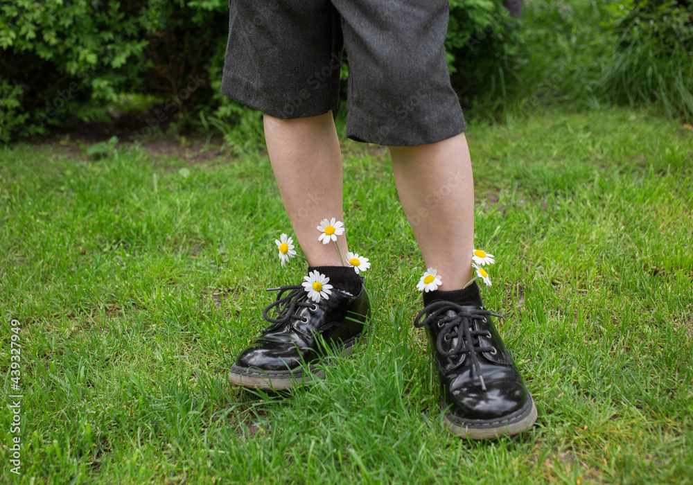 feet of child boy standing on green grass in black patent leather shoes and shorts. Chamomile flower are sticking out of socks. positive atmosphere, happy childhood. idea of congratulations from son. 