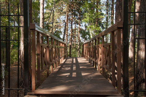 Old wooden bridge with stairs in forest. Staircase in the wood. Footbridge in park. Adventure and explore concept.