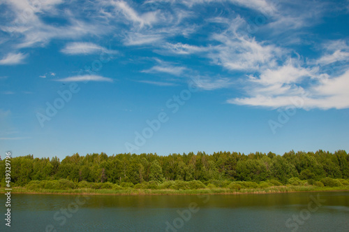 Forest lake trees in summer nature © vadim yerofeyev