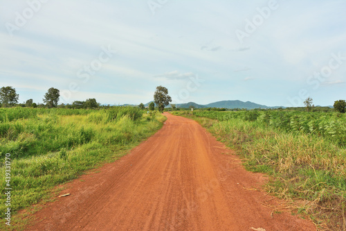Dirt roads in rural Thailand With a tree in the background