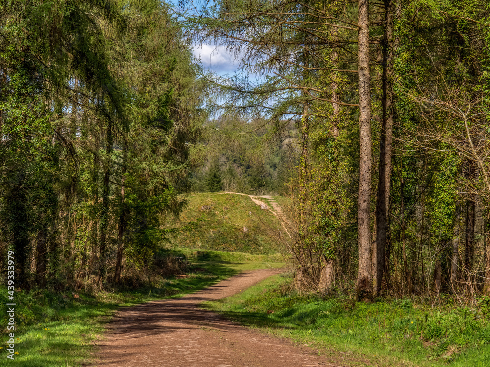 Fototapeta premium Path leading to ancient earthworks at Haywood Woods, Devon, England.