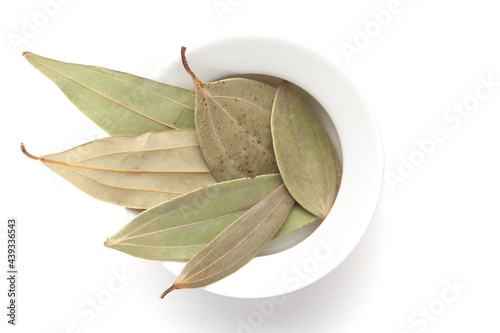 Photography Macro close-up of Organic Indian bay leaf (Cinnamomum tamala)  tezpatta  on white background