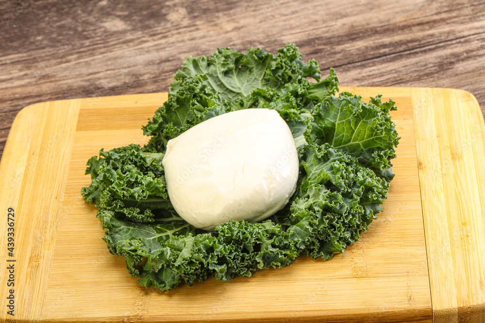 Soft mozzarella cheese over board Soft mozzarella cheese over board