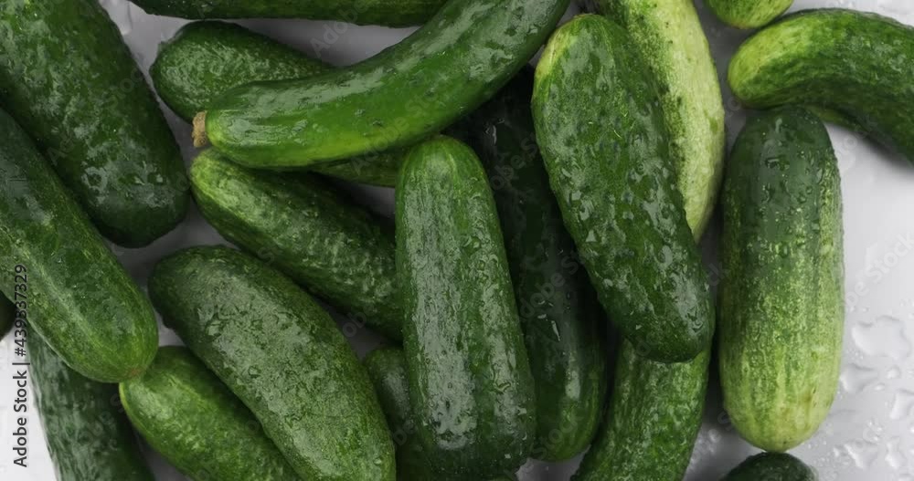 Rotation. Heap of whole, ripe cucumber in raindrops. Top view Rotation. Heap of whole, ripe cucumber in raindrops. Top view