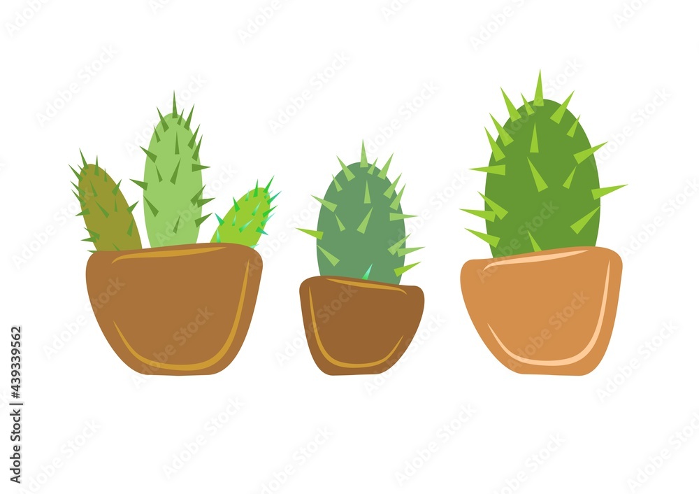 Cactus .Flowers. Floral print, pattern, background. 