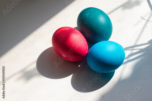 eggs