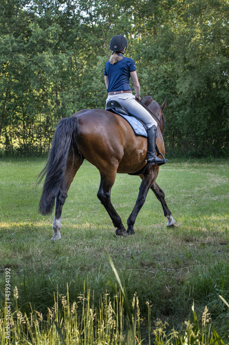 Horse riding. Amazone. Equestrian riding horse. Netherlands. Saddle horse.