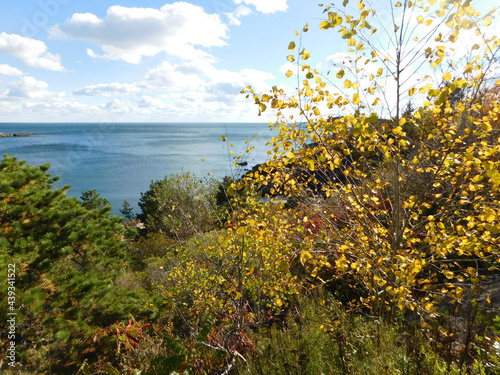 Landscape Photographs of Coastal Maine - Fjords, Autumn Foliage, Mountains, and Forests of Acadia National Park