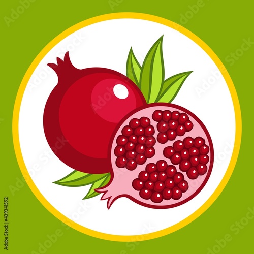 Drawn stylized whole and cut pomegranate fruit. Vector illustration.