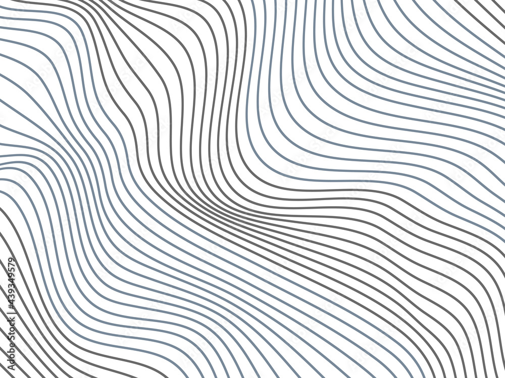 Warped gray and blue lines.Wavy lines on the white background.