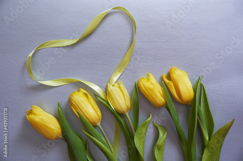 Five yellow fresh tulips on a grey background with the heart made of ribbon. Concept of holiday, Valentin day, International womans day, Mothers day. Horizontal photo with copy space. photo