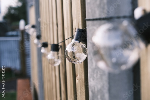 Bulbs