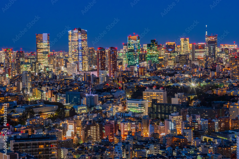 Naklejka premium 東京都市風景 夜景
