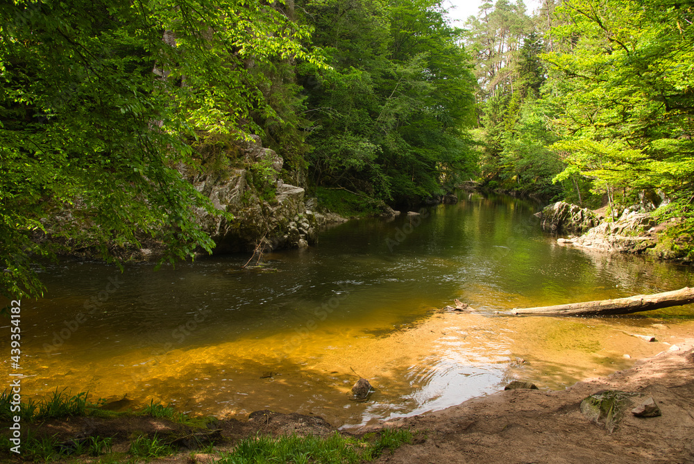 Obraz premium Die Gorges de Crosery in den Vogesen in Frankreich